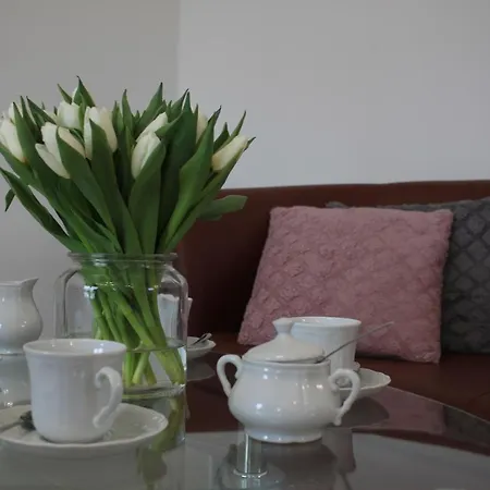 Проживание в семье Diamentowa 7 Rent Konarzewo